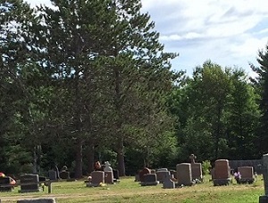 a view of the cemetery showing mature trees